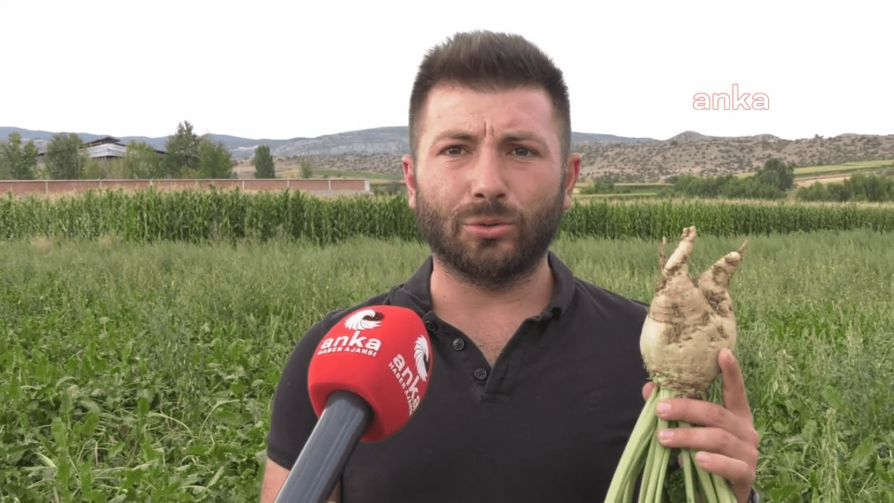 Kastamonu Çiftçileri: 0 Zarar Ediyoruz, Fiyatlar Felaket!