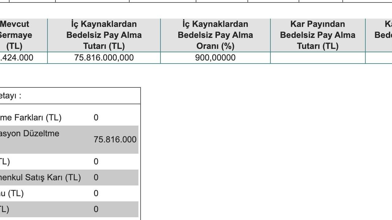 BURCE 2. Çeyrekte 4 Milyon TL Kar Etti!