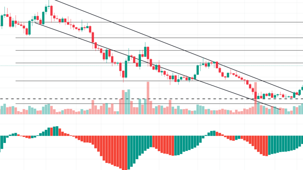 NVIDIA'nın 3 Altcoin'i 24 Saatte Nasıl Hareketlendirebilir?