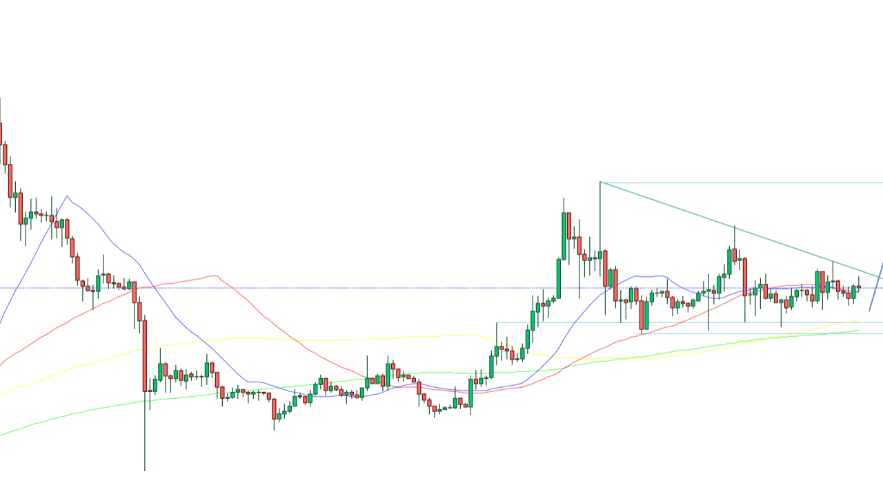 XRP Balinaları 50 Milyon Token Aldı! Yükseliş Yolda Mı?