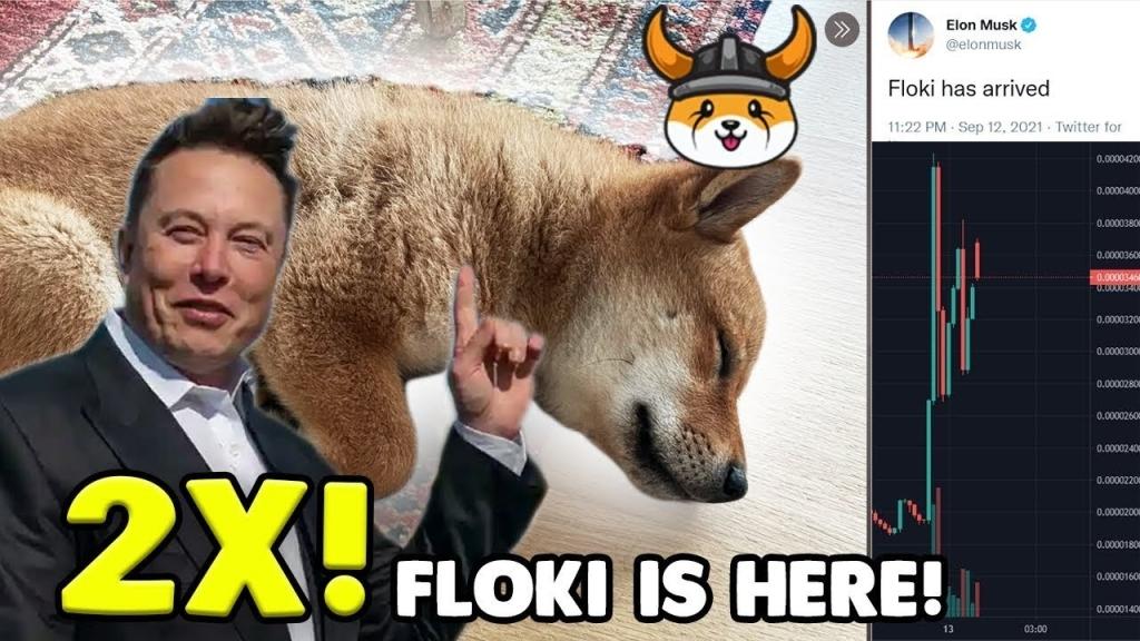 Floki Inu: 2 Hafta Sonra Büyük CAT Airdrop'ı Başlıyor!