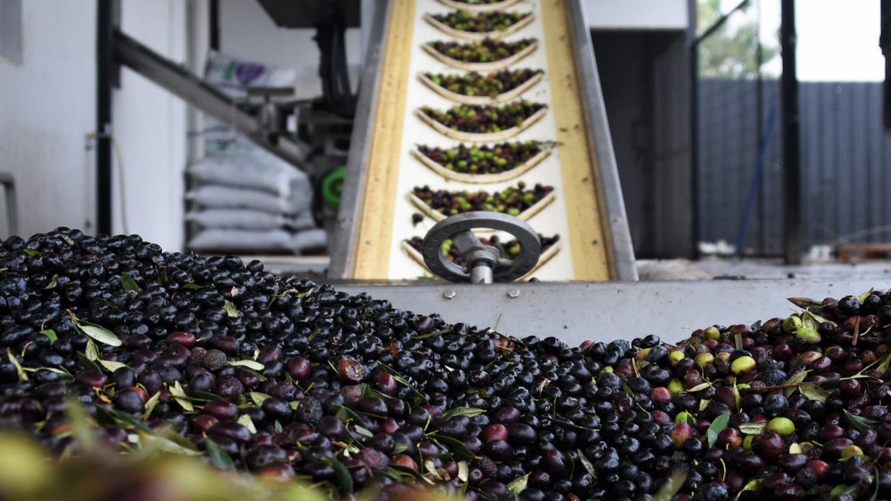 Cem Zeytin 1,5 Milyar TL'lik Halka Arz ile Büyüyor