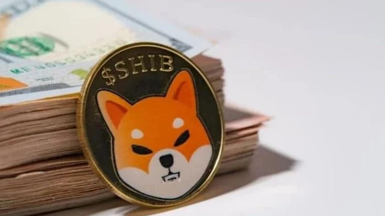 Shiba Inu Ralliye Hazır Mı? SHIB 0,00001667 Dolar Hedefliyor!