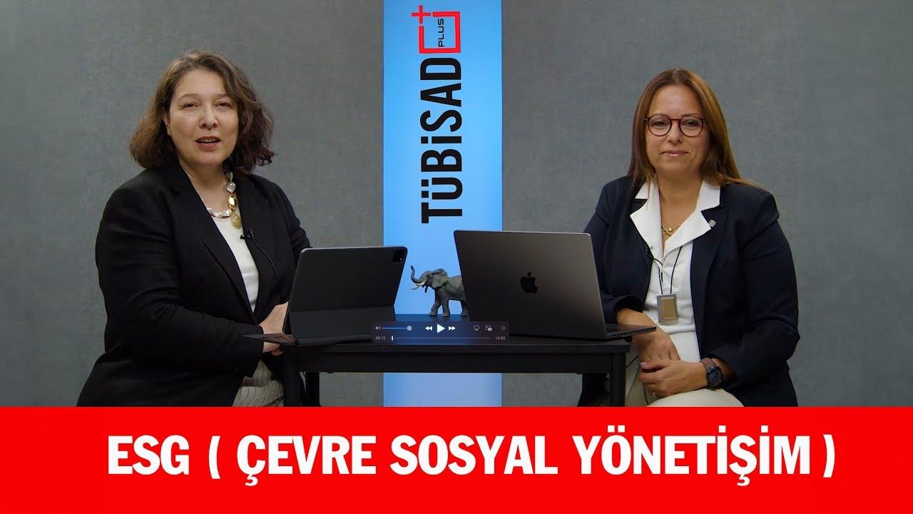 Veri ve Yapay Zeka: İş Dünyasını Nasıl Değiştiriyor?