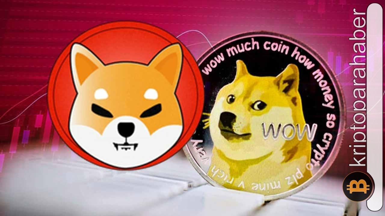 Meme Coin Piyasası Hareketleniyor: SHIB ve DOGE'de Büyük Değişimler