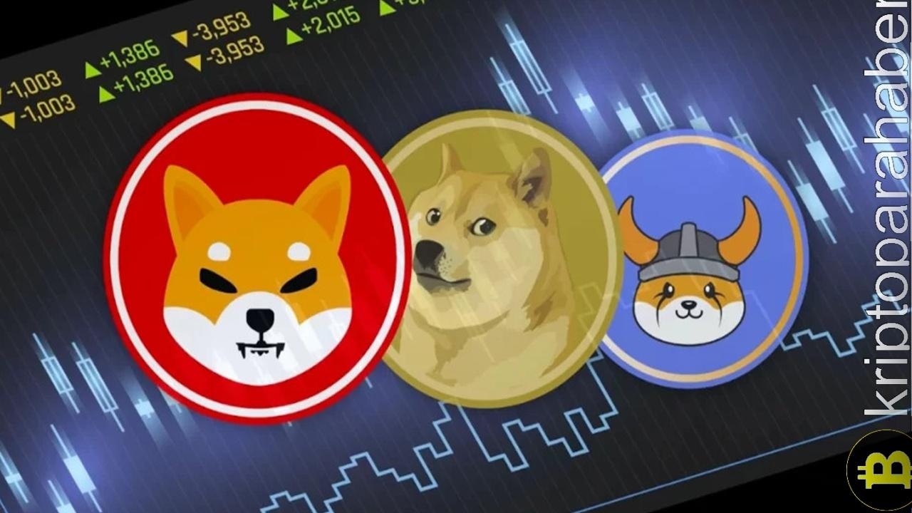 Meme Coin Piyasası Hareketleniyor: SHIB ve DOGE'de Büyük Değişimler