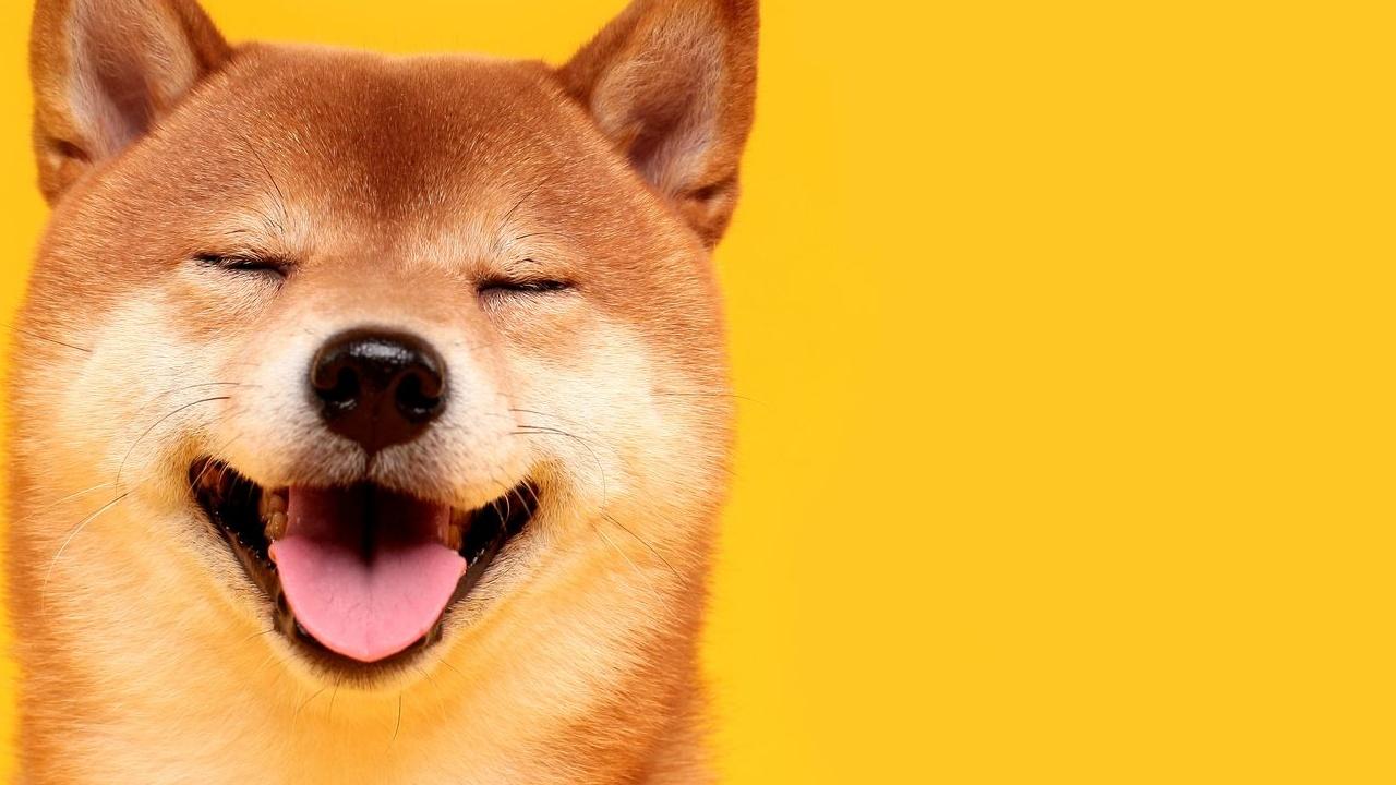 Dogecoin (DOGE) Yüzde 45 Yükseliş Beklentisi! Analistler Memecoin İçin Hedef Fiyat Belirledi