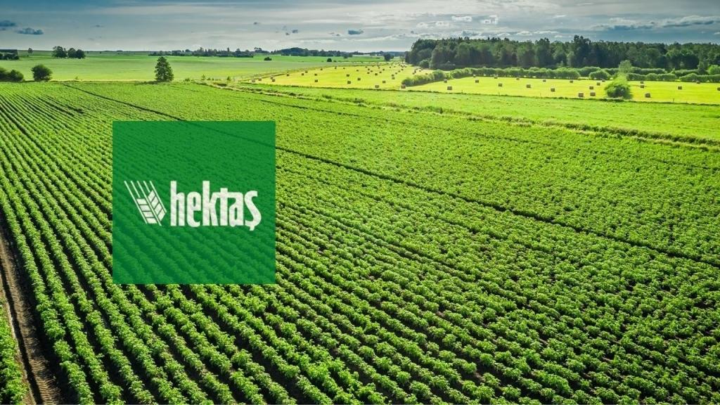 Hektaş Hisselerinde 176 Milyonluk Satış