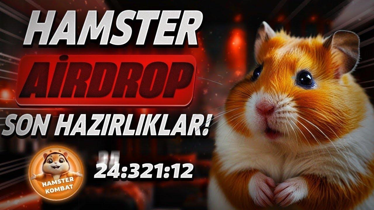 Hamster Kombat: 131 Milyon Kullanıcıya 60 Milyar Token Dağıtımı Başlıyor