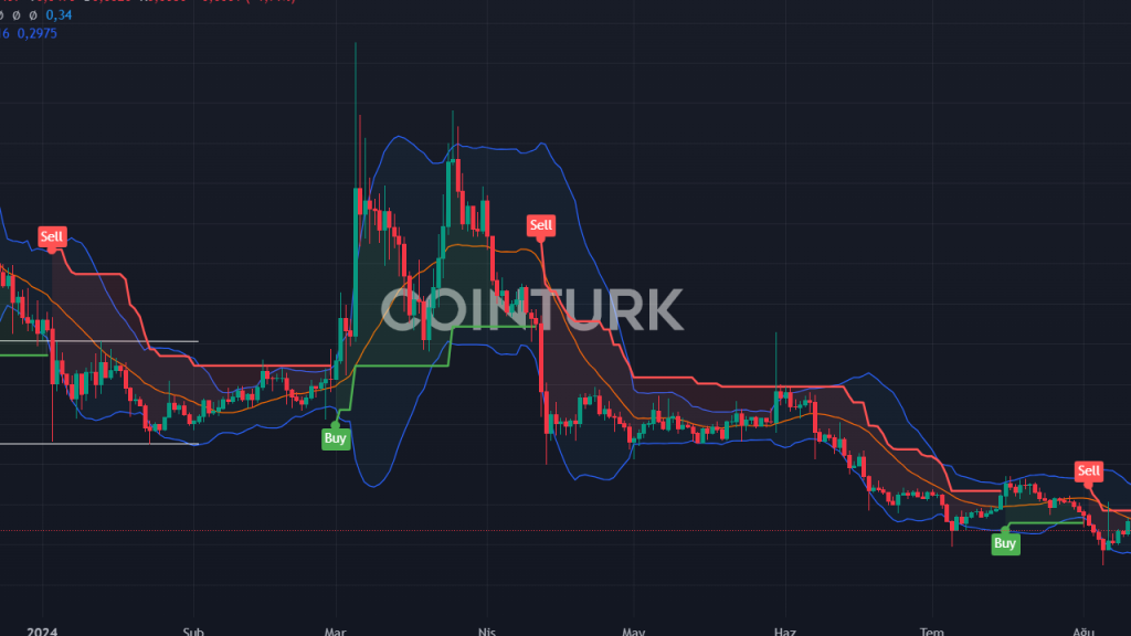 Memecoin'lere İlgi Patlaması: Analistlerden Uyarı! 100 Milyon Dolarlık Memecoin'ler