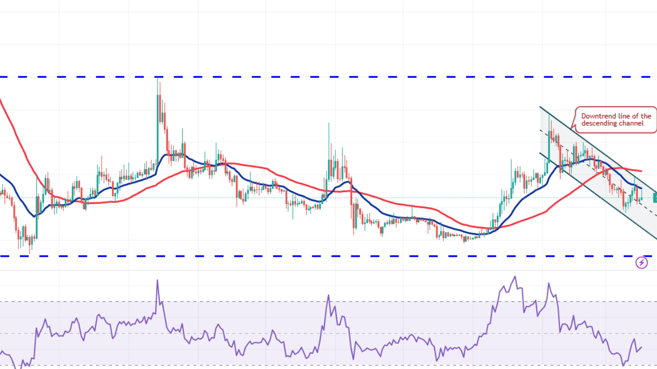 Solana (SOL) 150 Doları Aştı: Baby Dogecoin ve Shiba Coin İçin Son Tahminler