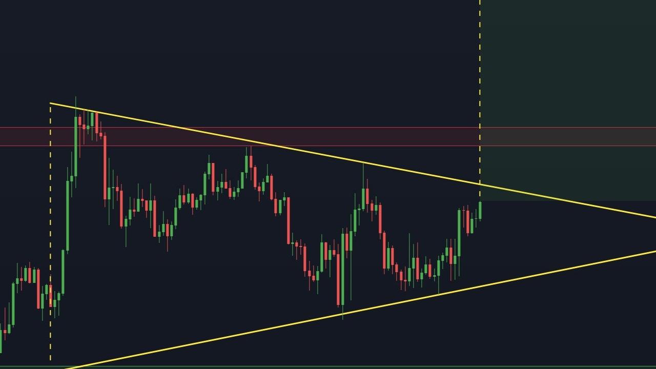 Solana (SOL) 150 Doları Aştı: Baby Dogecoin ve Shiba Coin İçin Son Tahminler