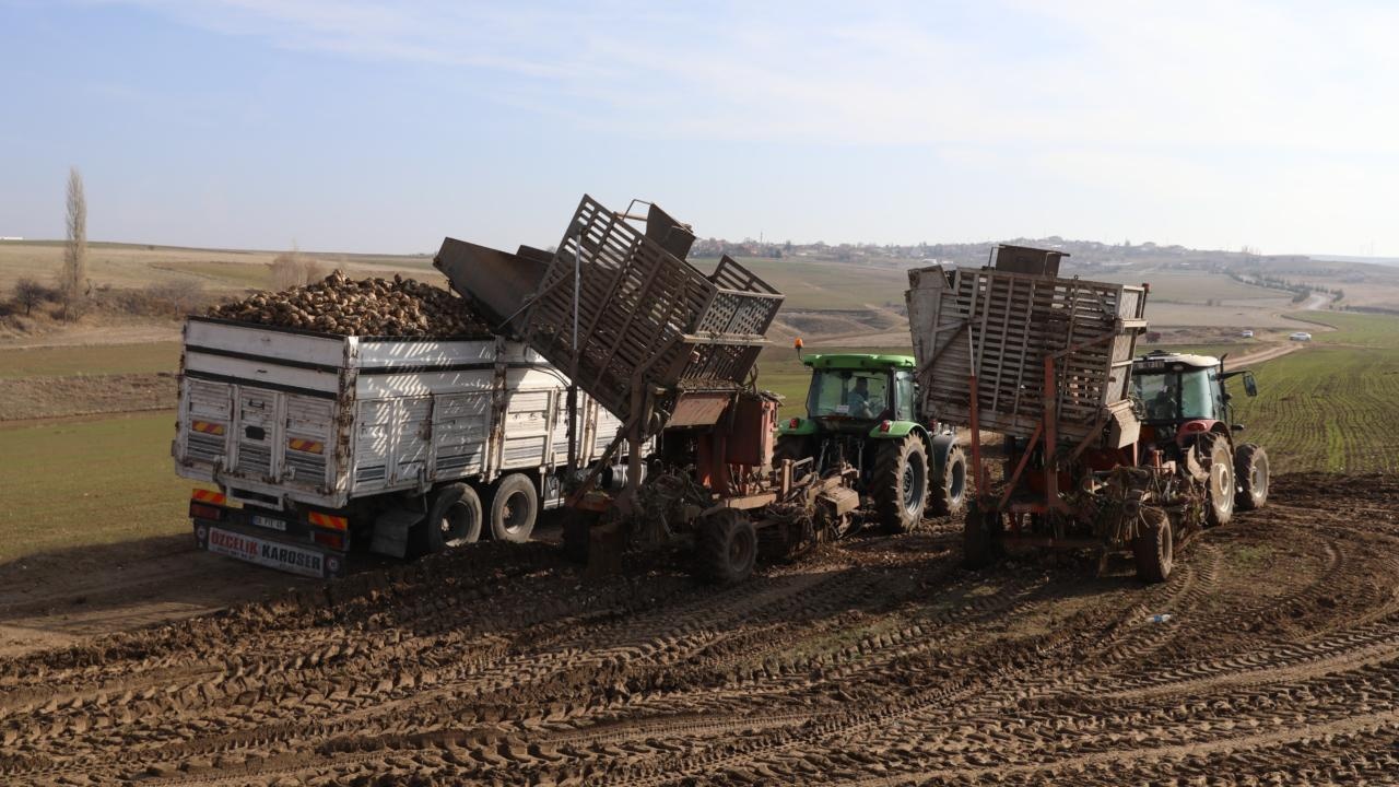 Türkşeker 950 Bin Ton Hedefiyle Şeker Üretimine Başladı