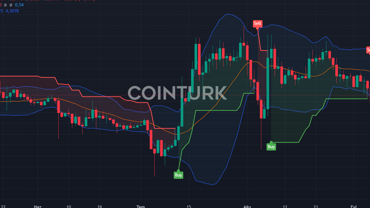 4 Altcoin Fiyat Tahmini: CHZ, CEEK, XRP, AVAX Eylül Ayında Ne Yapacak?