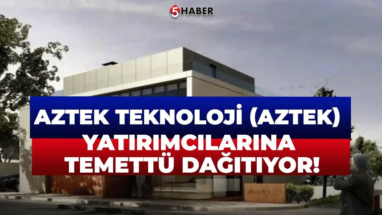 Aztek Teknoloji Karı 2024'te Düştü