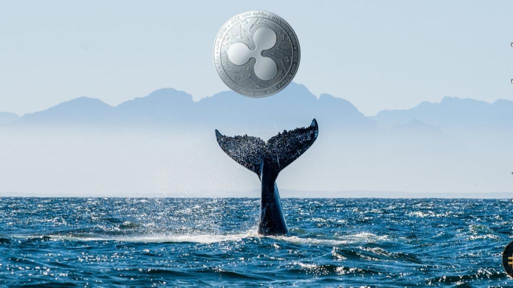 430 Milyon XRP Taşındı! Balinalar Harekete Geçti Mi?