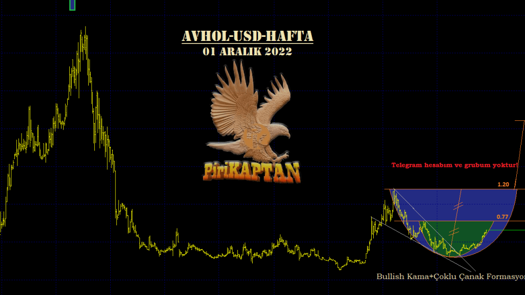 AVHOL Yönetim Kurulu Başkanı 500 Bin Hisse Sattı