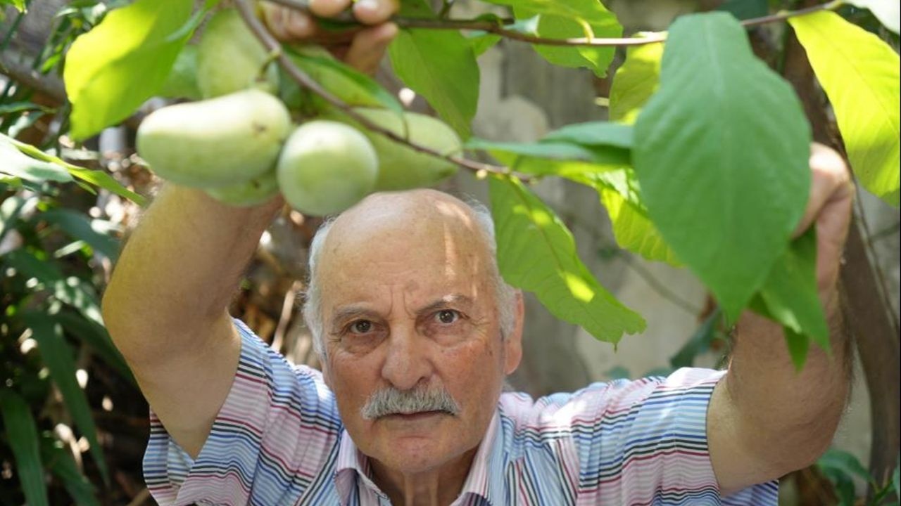 Emekli Öğretmen 50 Ülkeden 200 Çeşit Meyve Topladı: Tropikal Bahçesi Bir Harika!