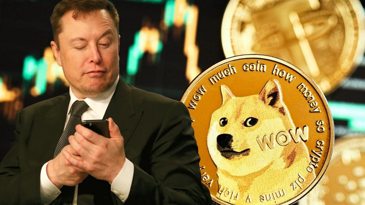 Elon Musk'ın Desteğiyle Dogecoin Ralliye Hazır mı? 1.4 Milyar DOGE Balina Birikimi