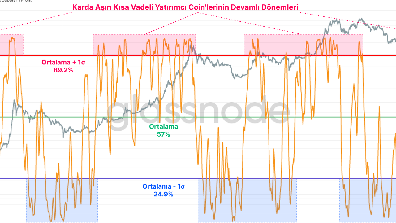 Glassnode Raporu: Kısa Vadeli Bitcoin Yatırımcıları ,380.21 Kayıp Yaşıyor