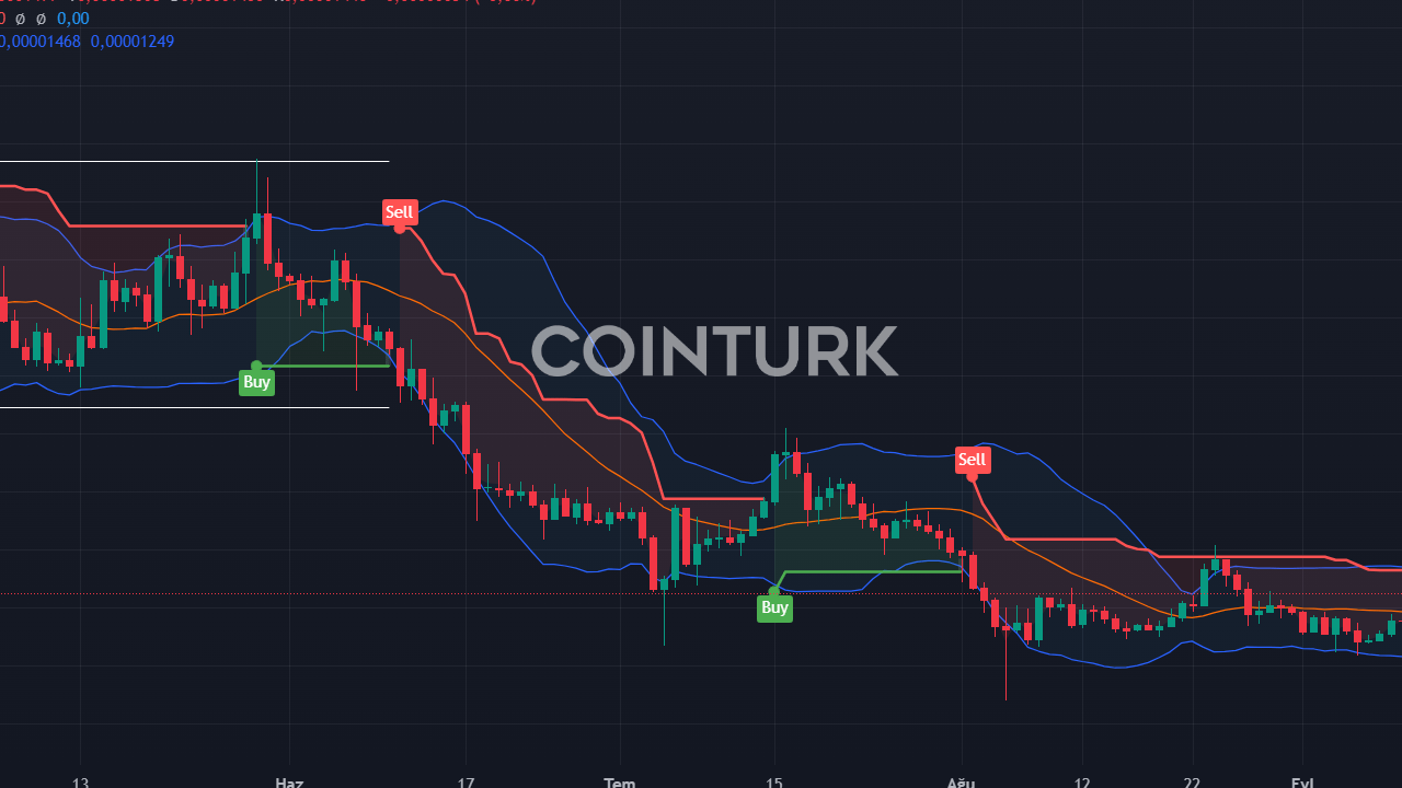 5 Altcoin Grafik Yorumu: RENDER, NOT Coin, SHIB, FET ve BTC Fiyat Hedefleri