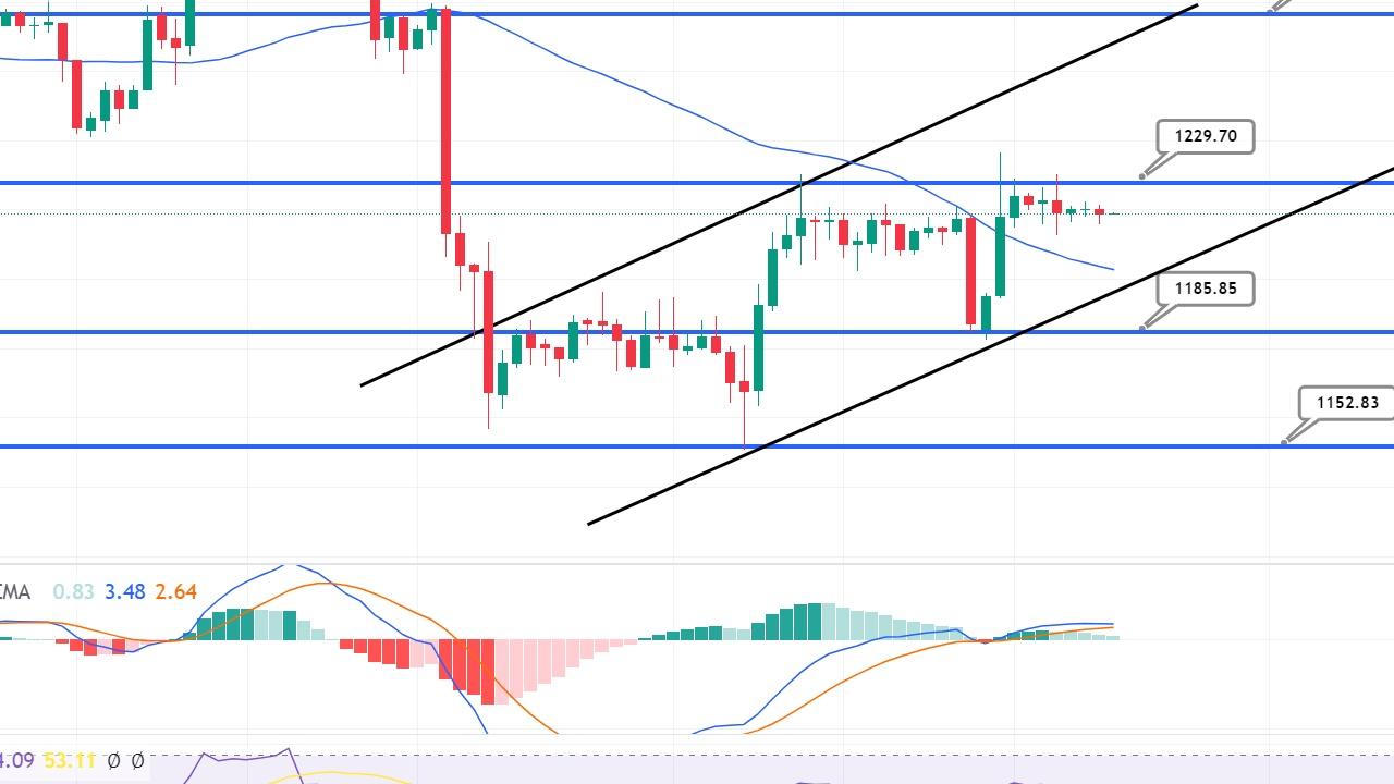 Bitcoin Atladı: Ethereum da Yükseliyor, Piyasalar Dalgalanıyor