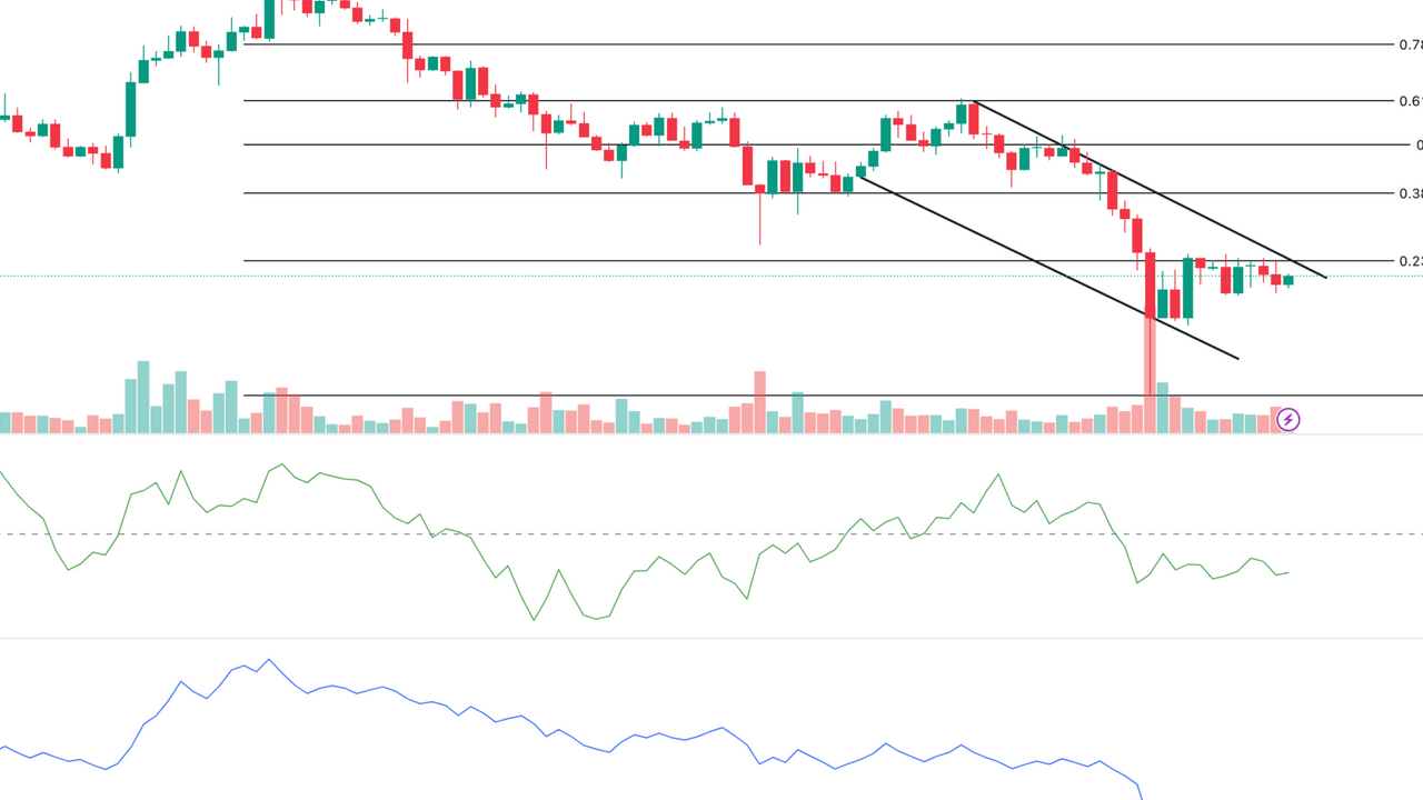 LINK Coin Eylül'de Alım Fırsatı Sunuyor mu? 56,35% Düşüş Sinyaline Dikkat!