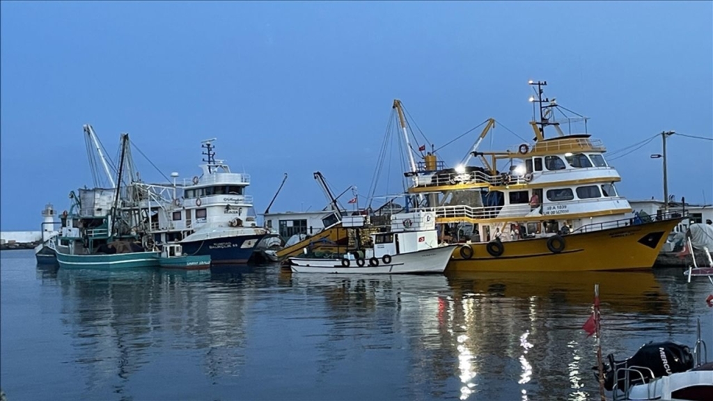 400 Bin Ton Hamsi Avı İçin Son Gün: İzin Başvuruları 6 Eylül'de Bitiyor