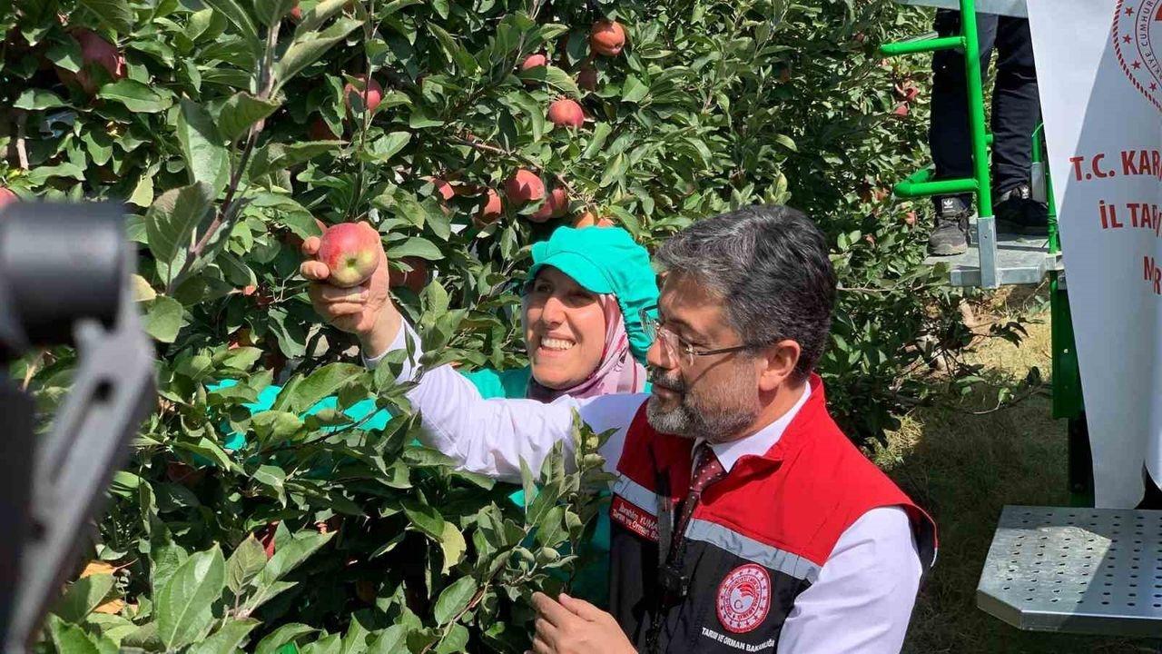 42 İlde 61 Organize Tarım Bölgesi: Türkiye'nin Tarım Devrimi