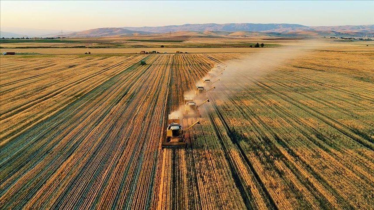 2024 Tarım Destekleri Açıklandı: Çiftçilere Nakit Ödeme