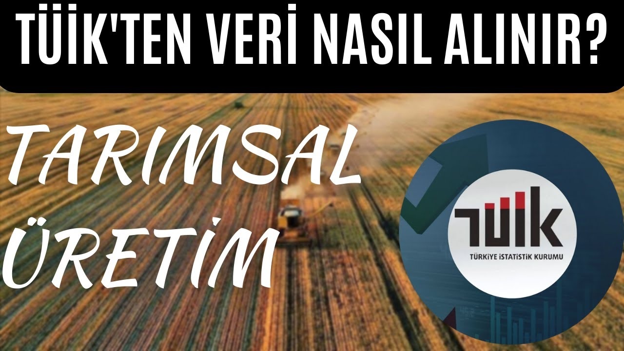 TÜİK Dış Ticaret İstatistiklerinde 7 Aylık Hata: Veriler Yeniden Yayımlandı