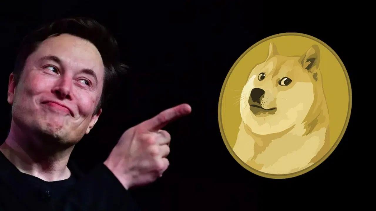 Elon Musk'ın 75 Milyon Dolarlık Bağışı DOGE Fiyatını Harekete Geçirdi