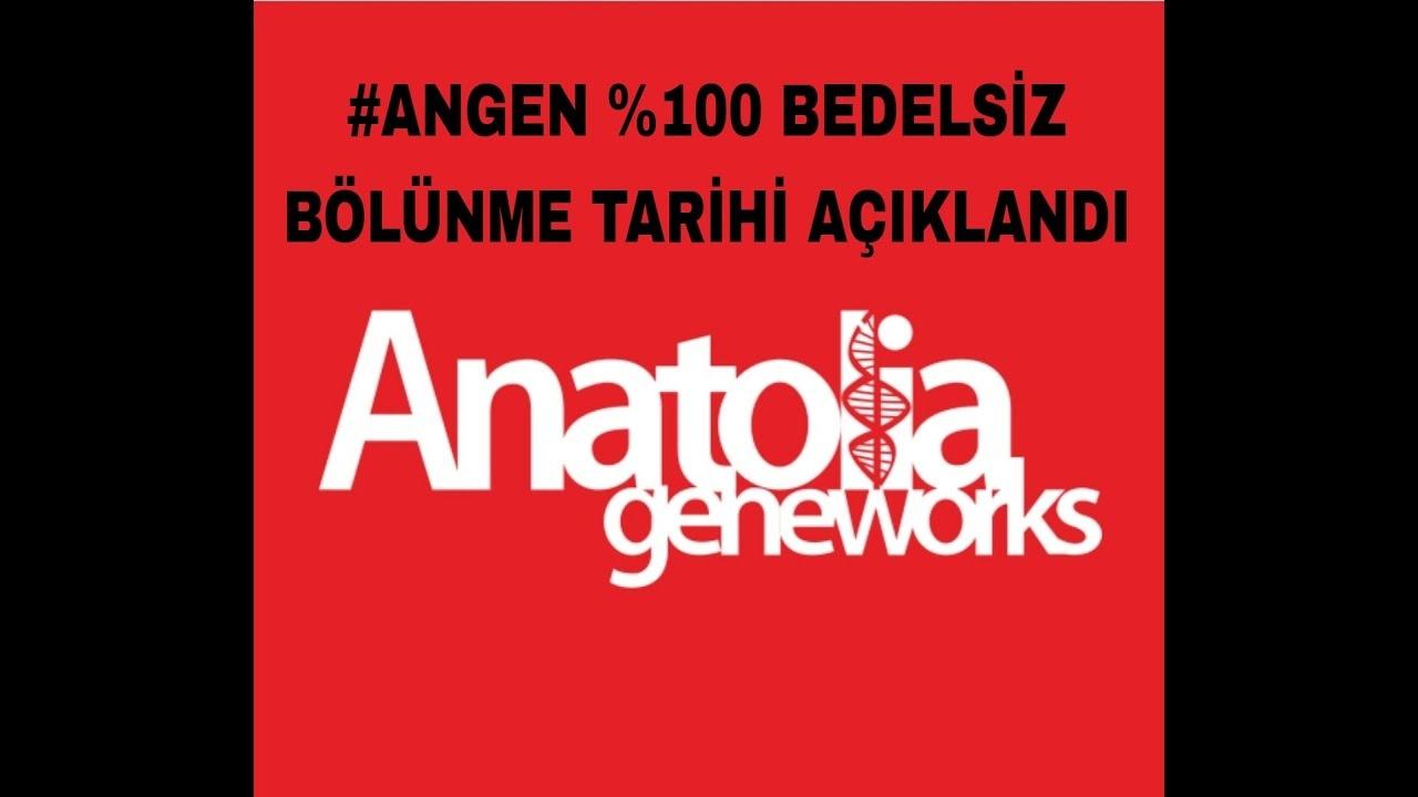 ANGEN 11.6 Milyon TL'lik Yeni Sözleşme İmzaladı