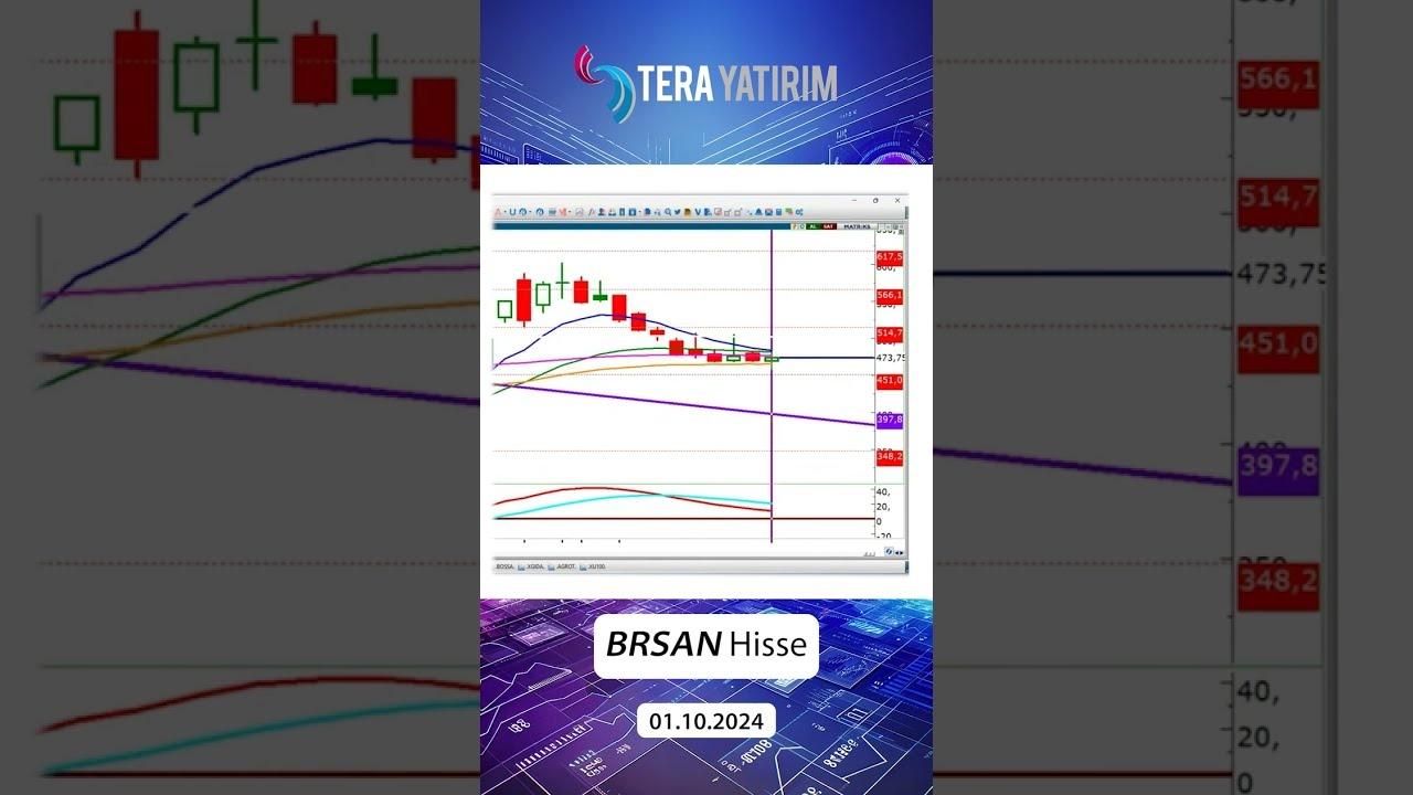 Borusan Hisseleri 600 TL'yi Test Etti: Son Durum Ne?