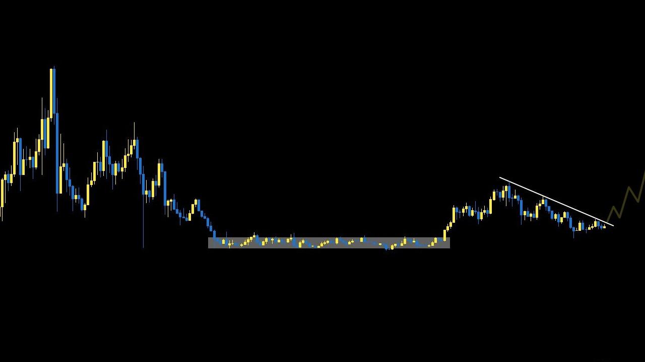 Ali Bugün WIF Coin İçin 3 Dolar Hedefini Açıkladı: ENA ve Diğer Altcoin Tahminleri