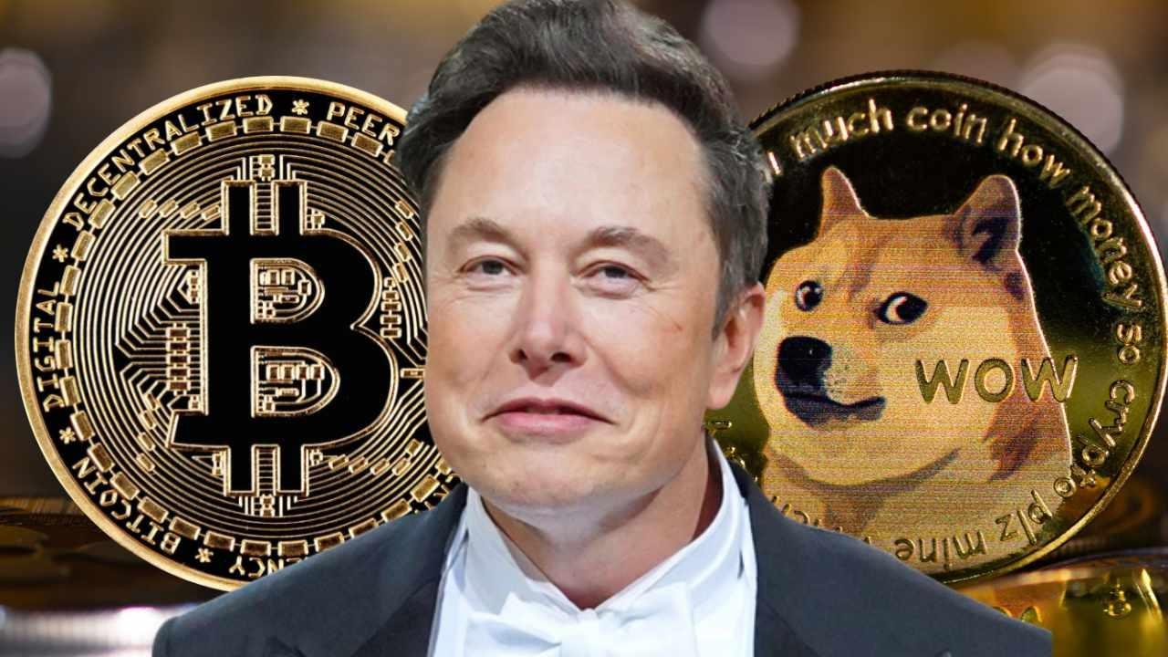 Dogecoin Fiyatı 15% Arttı: Elon Musk ve Trump Etkisi Devam Edecek mi?