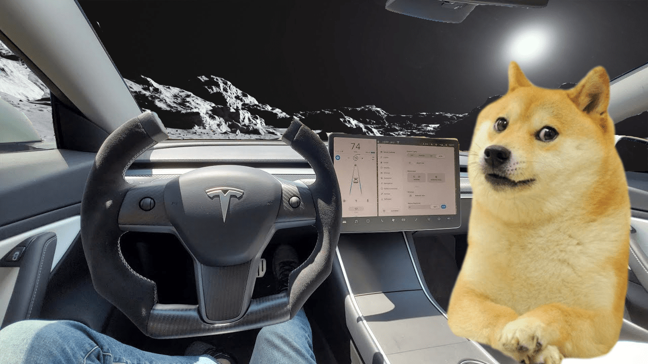 Elon Musk'ın Robotaxi'sinde Shiba Inu: DOGE Fiyatı %7 Atladı!