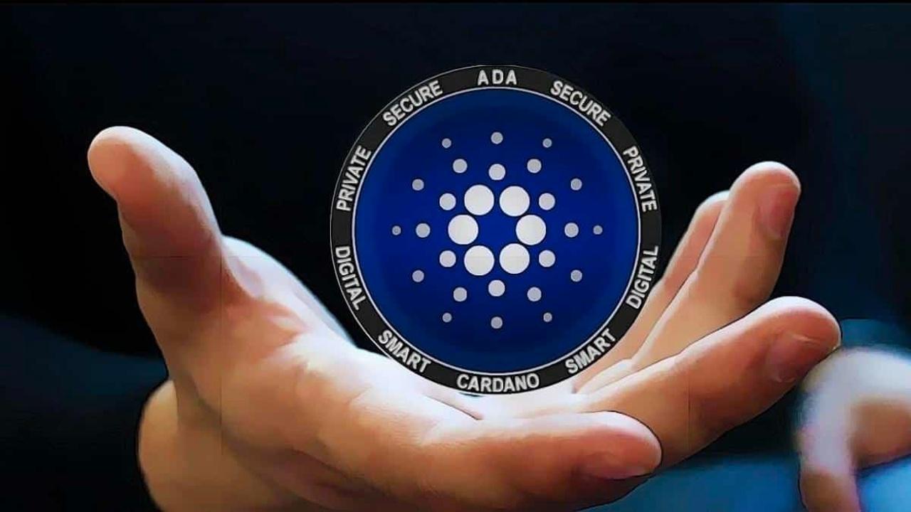 Cardano Mucidi: 0 Artan Bu Altcoin’i Övdü! Analistler Devam Diyor