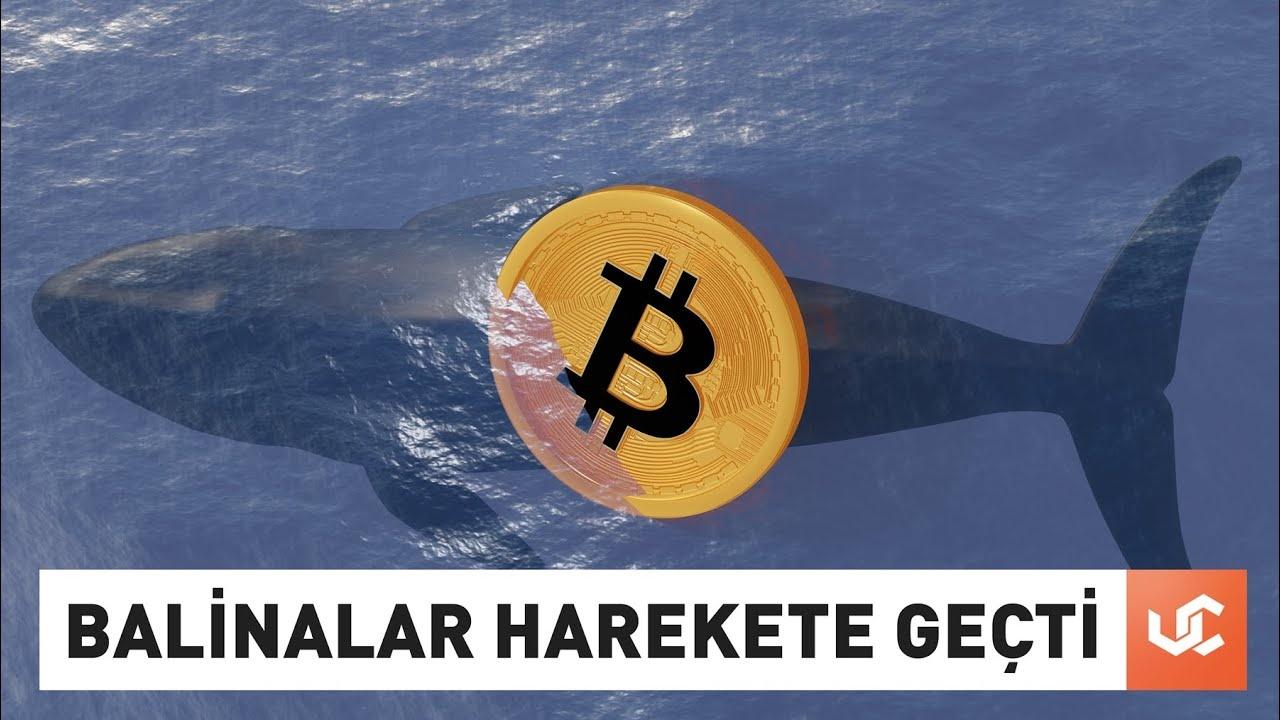 Bitcoin 68.000 Dolar'a Yaklaşırken 'Dip' Endişesi Artıyor: Büyük Balinalar Satışa Geçti Mi?