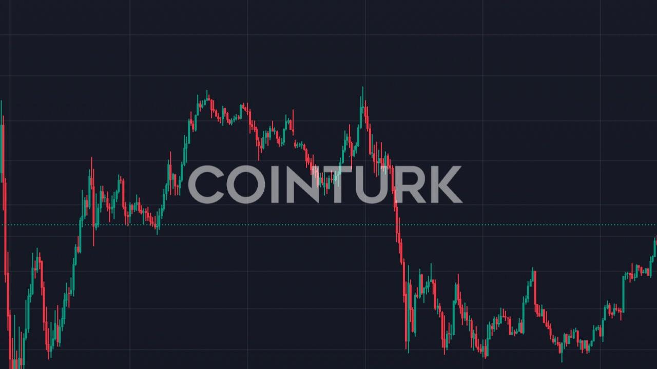 Bitcoin Sosyal İlgiyi Çekiyor: Fiyatı Yükselirken Altcoinler Neden Düşüyor?