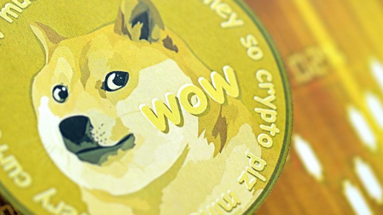 Custodia Bank CEO'su, Elon Musk'ın DOGE Önerilerini Destekliyor