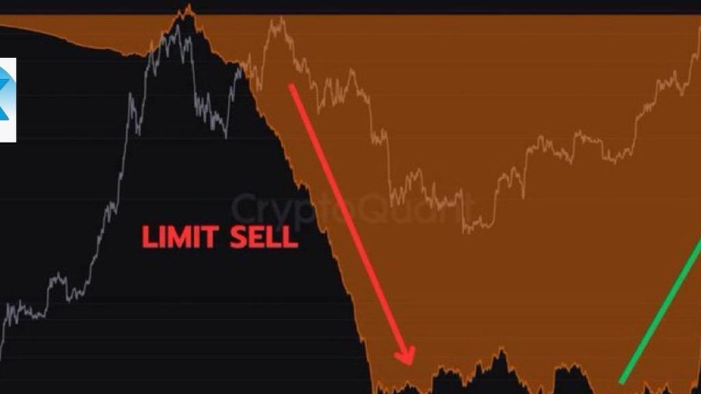 Bitwise Kripto İçin Dönüşümlü ETF Sunuyor: 0 Kazanç Hedefi