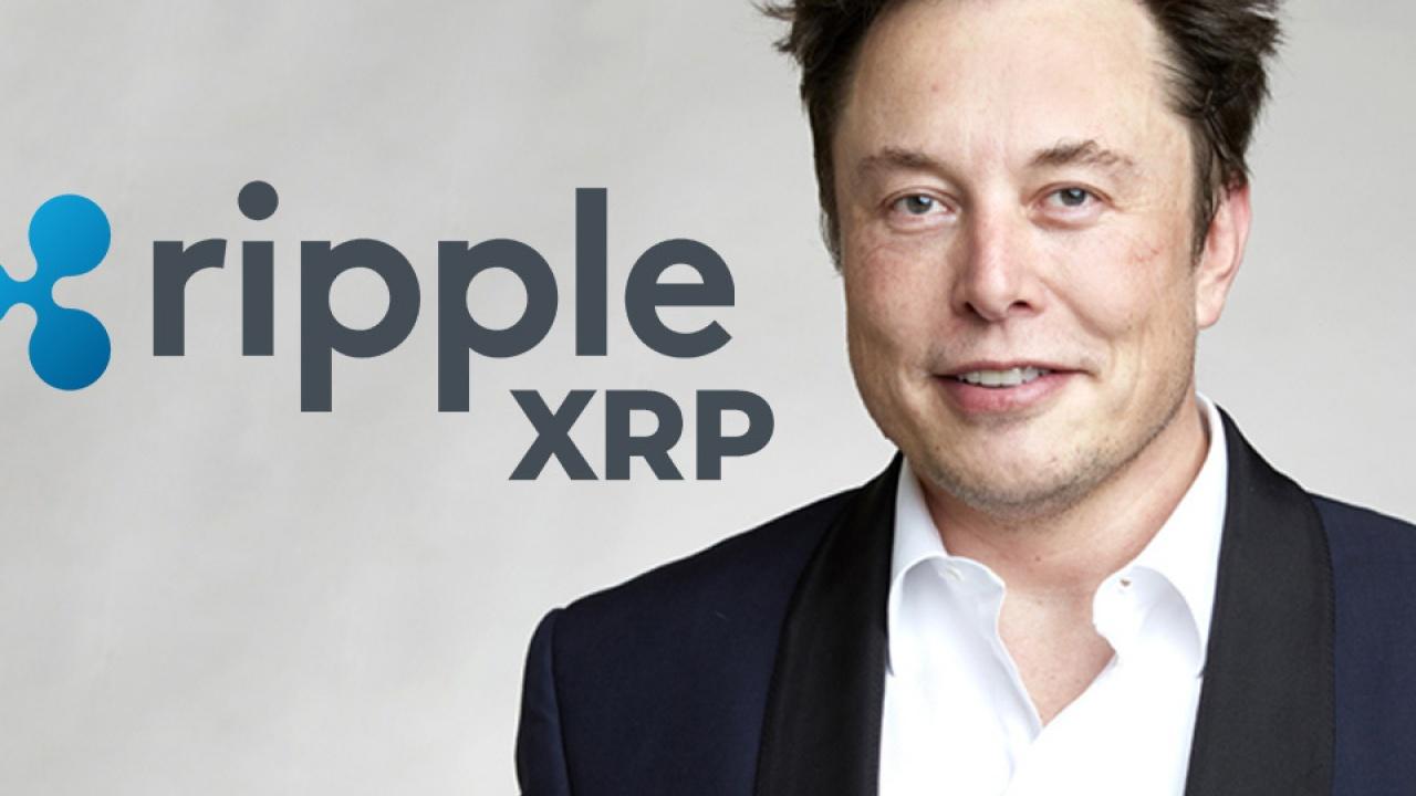 Elon Musk'ın XRP Açıklamaları Altcoin Piyasasını Sarsıyor: XRP'ye İlgi Arttı