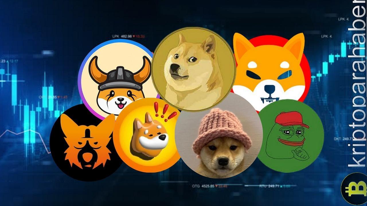 Meme Coin Trendleri Değişiyor: SHIB ve DOGE'da Fiyat Düşüşü