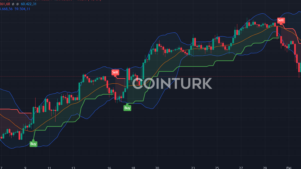 3 Günde 368 Doları 2 Milyona Çeviren Altcoin: HIPPO Memecoin'in Başarısı