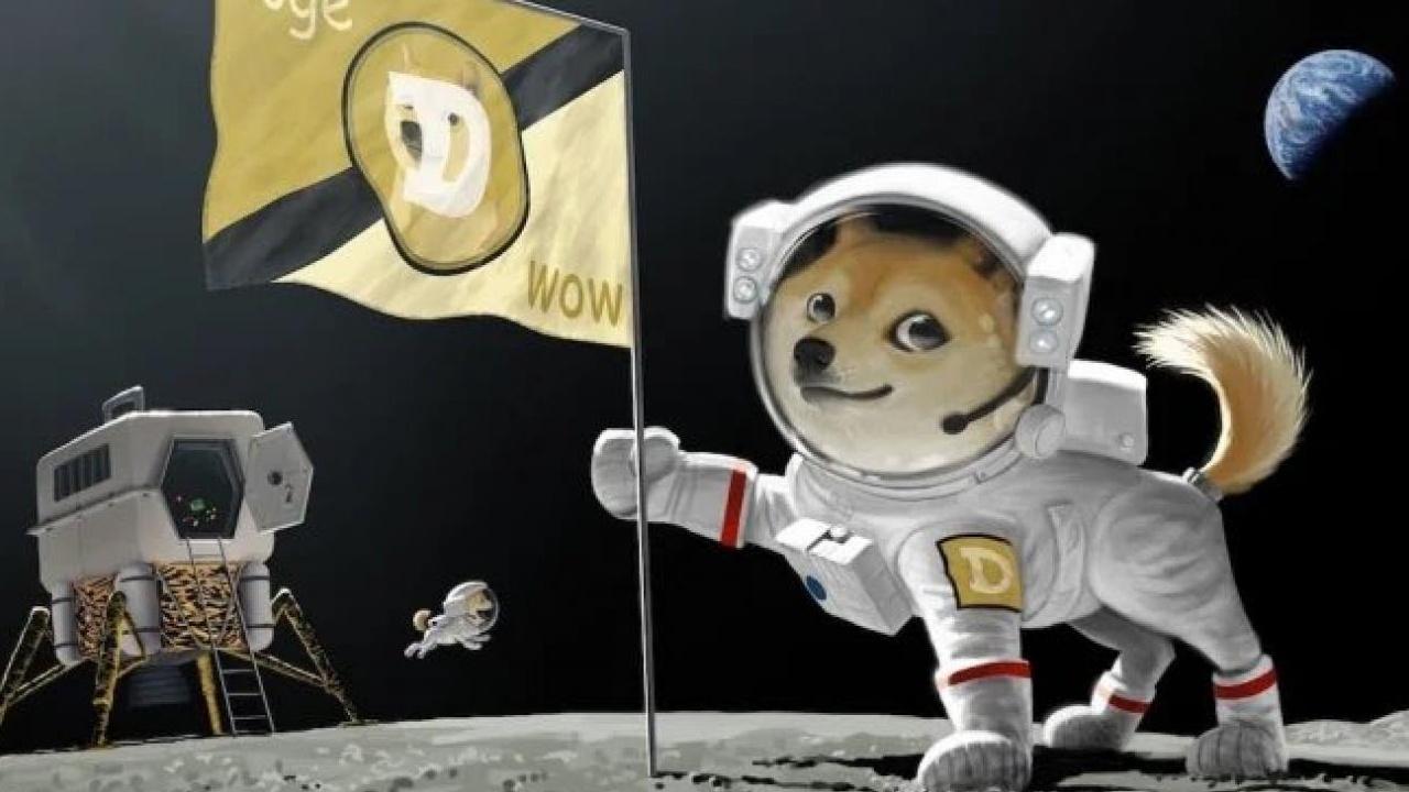 Dogecoin Kurucusu, Elon Musk'ı Savunuyor: Medya Manipülasyonu