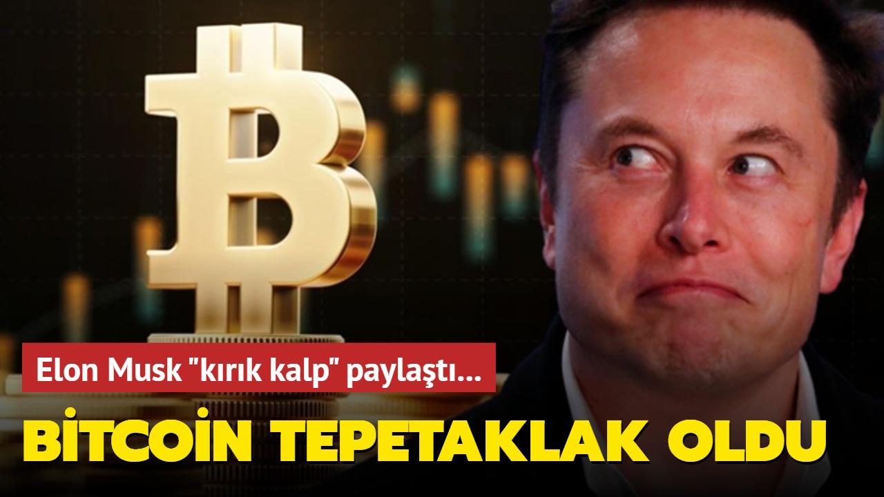 Pike Finance Altcoin'i: 'lık Düşüşle Yatırımcılar Üzüldü!