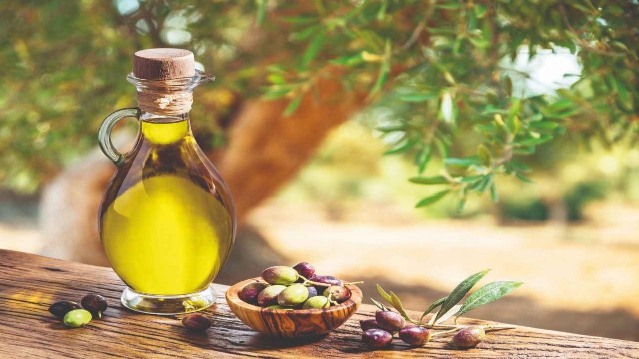 Zeytin ve Zeytinyağı Üretimi Rekor Kıracak: 475 Bin Ton Yağ Bekleniyor