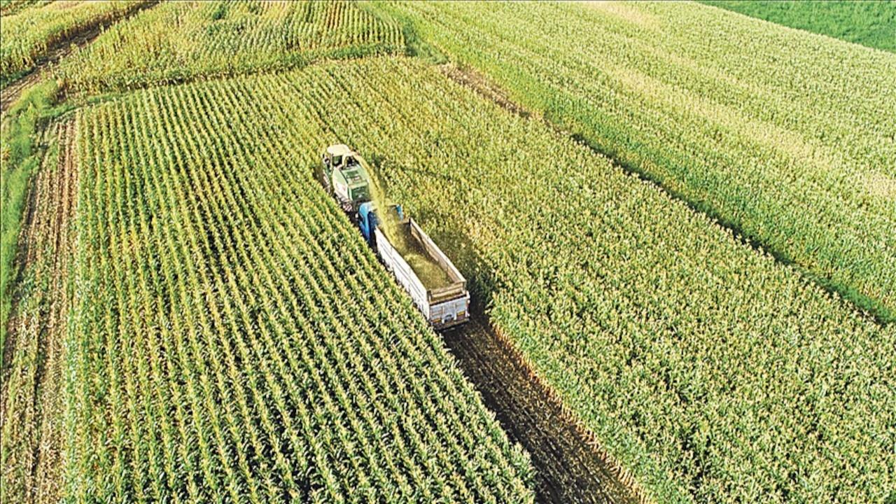 Tarım ÜFE Eylül'de %2 Artarak Yükselişini Sürdürdü