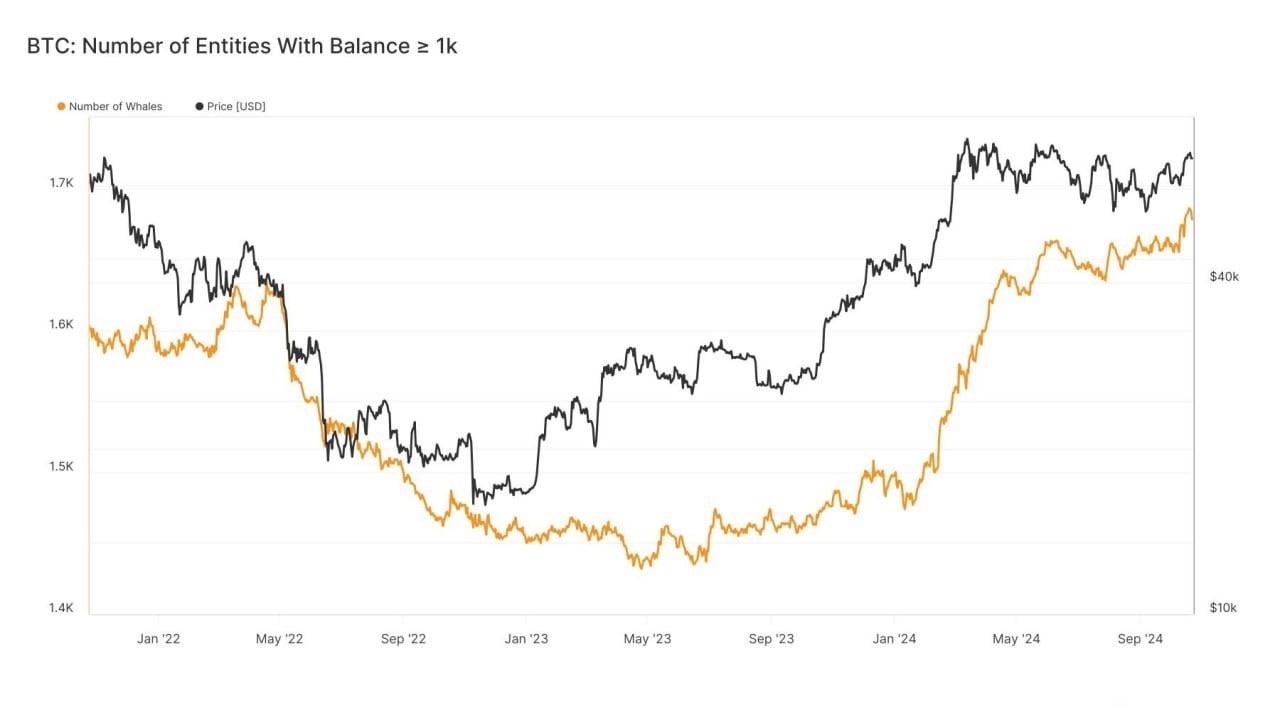 Microsoft, 10 Aralık'ta Bitcoin'e Yatırım Yapmayı Oylayacak: Hissedarlar Ne Düşünüyor?